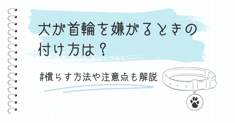 犬が首輪を嫌がるときの付け方は？慣らす方法や注意点も解説