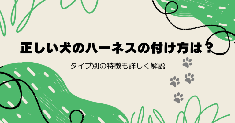 正しい犬のハーネスの付け方は？タイプ別の特徴も詳しく解説