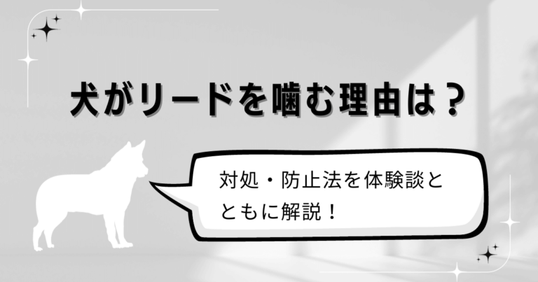 犬がリードを噛む理由は？対処・防止法を体験談とともに解説！