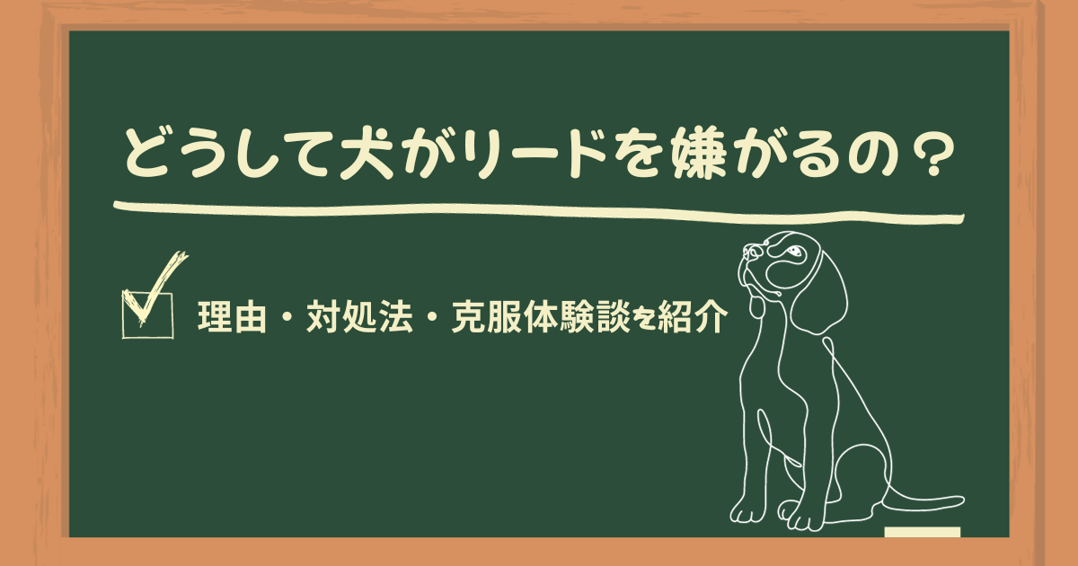 どうして犬がリードを嫌がるの？理由・対処法・克服体験談を紹介