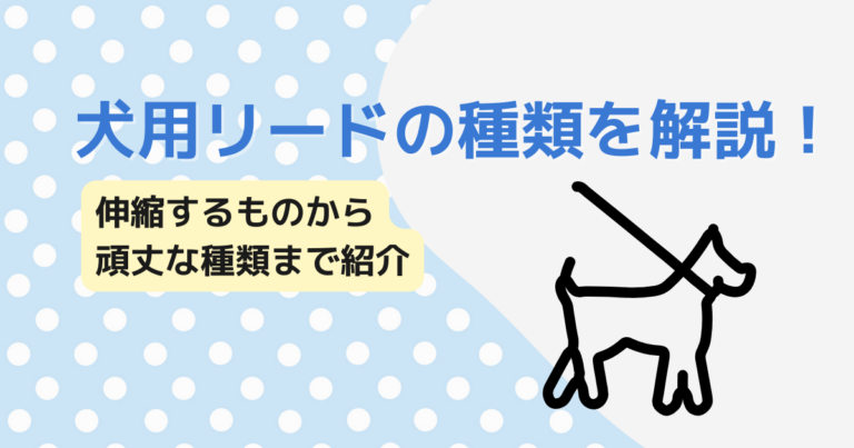 犬用リードの種類を解説！伸縮するものから頑丈な種類まで紹介