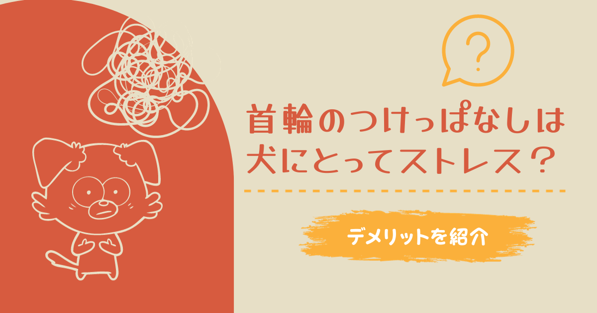 首輪のつけっぱなしは犬にとってストレス？デメリットを紹介