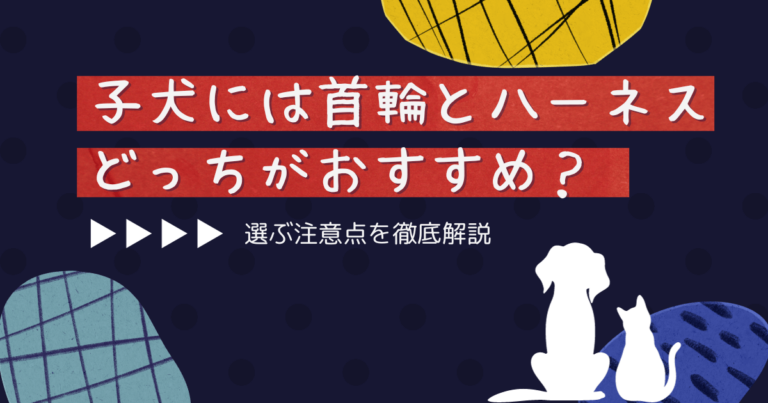 子犬には首輪とハーネスどっちがおすすめ？選ぶ注意点を徹底解説